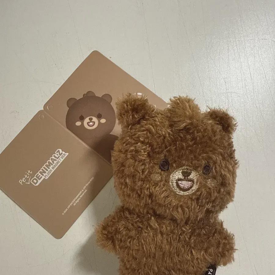 DAY6 Джунгли Магнитная Версия Комната