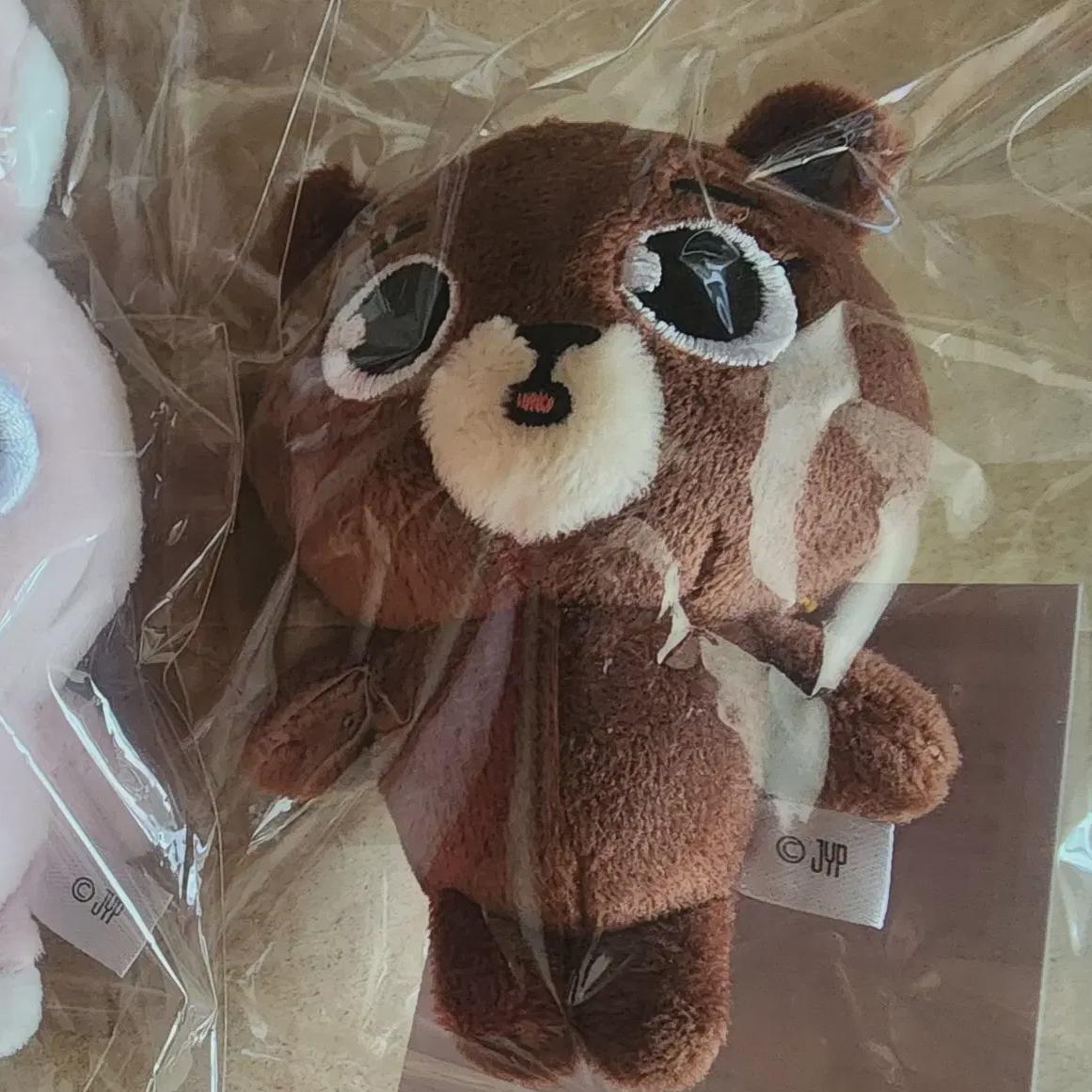 DAY6 Япония Мд Бэкчам Комната