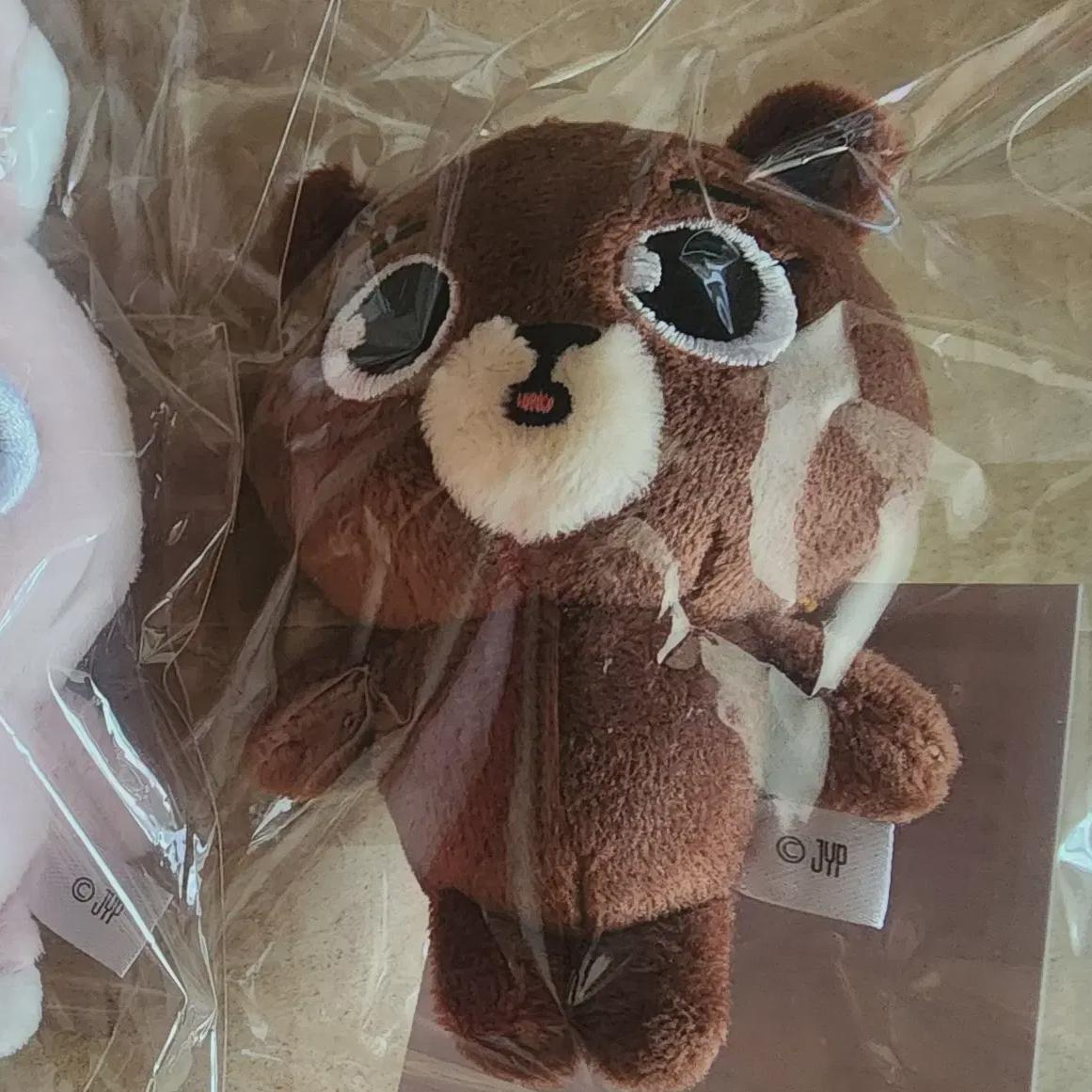 DAY6 Япония Мд Бэкчам Комната